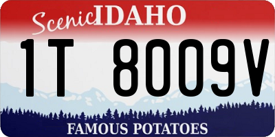 ID license plate 1T8009V