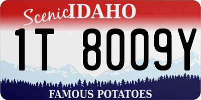ID license plate 1T8009Y