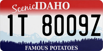 ID license plate 1T8009Z