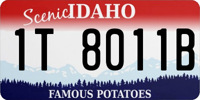 ID license plate 1T8011B