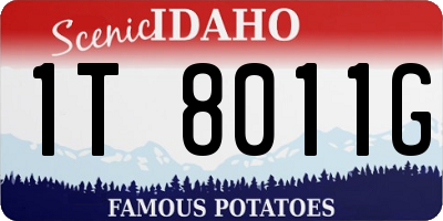 ID license plate 1T8011G