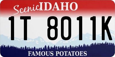 ID license plate 1T8011K