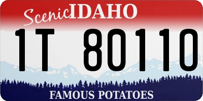 ID license plate 1T8011O