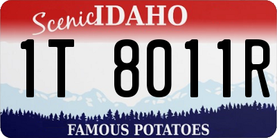 ID license plate 1T8011R