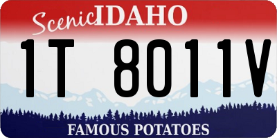 ID license plate 1T8011V