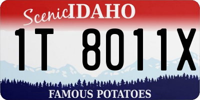 ID license plate 1T8011X