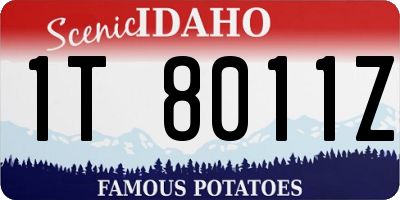ID license plate 1T8011Z