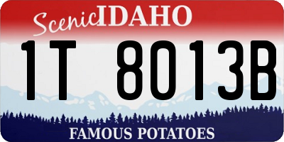 ID license plate 1T8013B