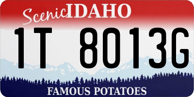 ID license plate 1T8013G