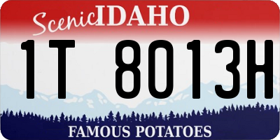 ID license plate 1T8013H