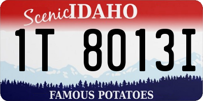 ID license plate 1T8013I
