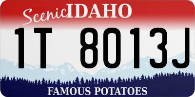 ID license plate 1T8013J