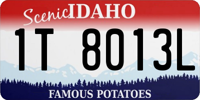 ID license plate 1T8013L