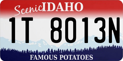 ID license plate 1T8013N
