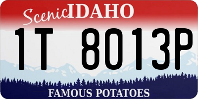 ID license plate 1T8013P
