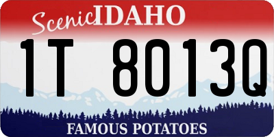 ID license plate 1T8013Q