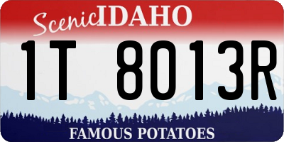 ID license plate 1T8013R