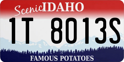 ID license plate 1T8013S