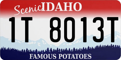 ID license plate 1T8013T