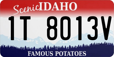 ID license plate 1T8013V
