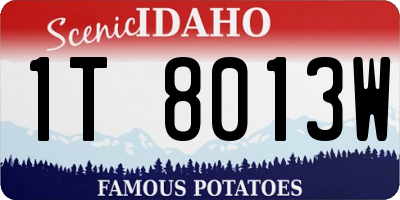 ID license plate 1T8013W