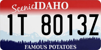 ID license plate 1T8013Z