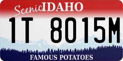 ID license plate 1T8015M