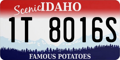 ID license plate 1T8016S