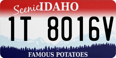 ID license plate 1T8016V