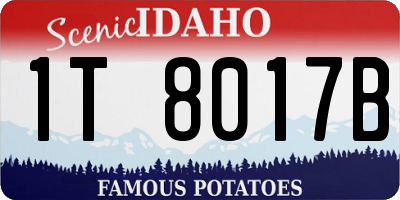 ID license plate 1T8017B