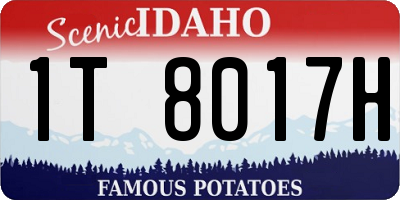 ID license plate 1T8017H