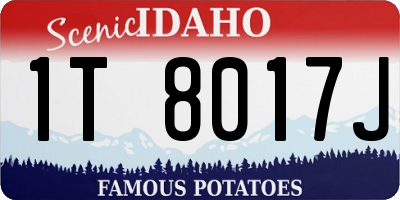 ID license plate 1T8017J