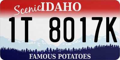 ID license plate 1T8017K