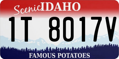 ID license plate 1T8017V