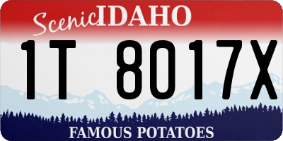 ID license plate 1T8017X