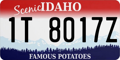 ID license plate 1T8017Z