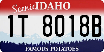 ID license plate 1T8018B