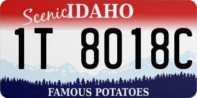 ID license plate 1T8018C