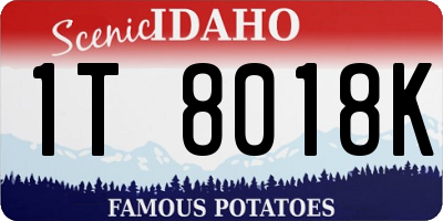 ID license plate 1T8018K