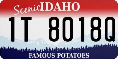 ID license plate 1T8018Q