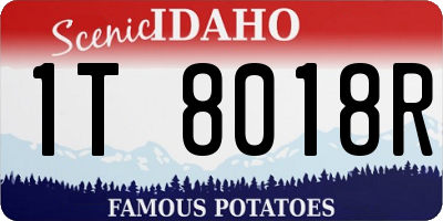 ID license plate 1T8018R