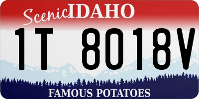 ID license plate 1T8018V