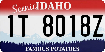 ID license plate 1T8018Z