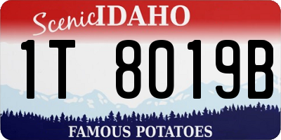 ID license plate 1T8019B
