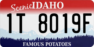 ID license plate 1T8019F