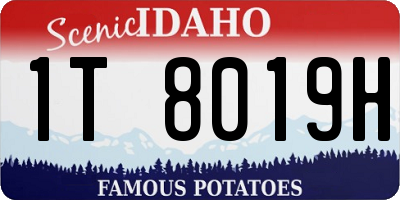 ID license plate 1T8019H