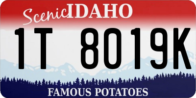 ID license plate 1T8019K