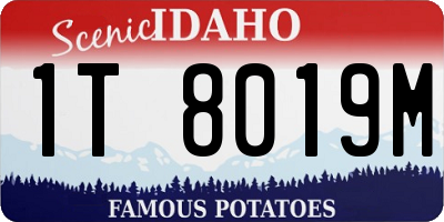 ID license plate 1T8019M