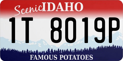 ID license plate 1T8019P