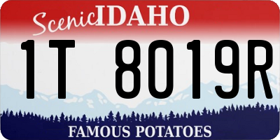 ID license plate 1T8019R